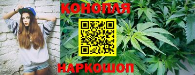 каннабис Гатчина