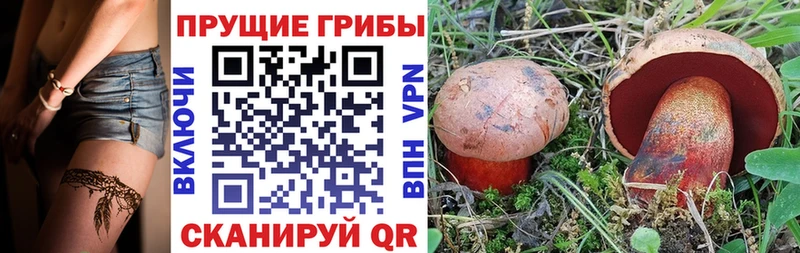 Псилоцибиновые грибы Magic Shrooms  цены   Саратов 
