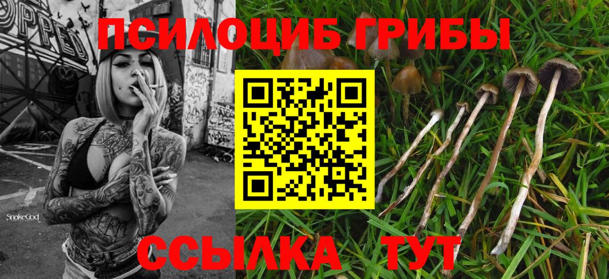 Галлюциногенные грибы Psilocybe  Вход с VPN  Галлюциногенные грибы ЛСД  Саратов 