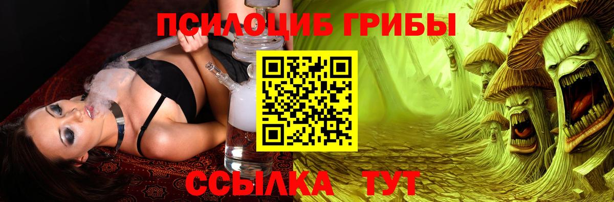 Псилоцибиновые грибы прущие грибы Саратов