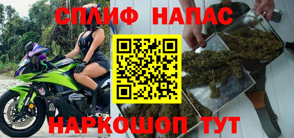 Бошки Шишки ГИДРОПОН Саратов